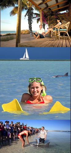 Monkey Mia Dolphin Resort - Mackay Tourism 0