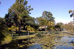 Widgee QLD Mackay Tourism