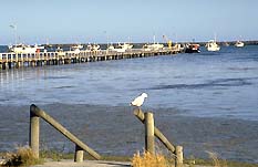 Ob Flat SA Mackay Tourism