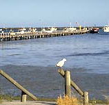 Seaview Motel and Holiday Units - Mackay Tourism