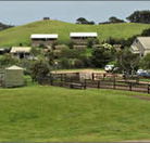 Ace Hi Riding Ranch - Mackay Tourism