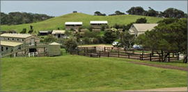 Ace Hi Riding Ranch - Mackay Tourism 0