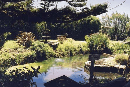Bayside Gardens - Mackay Tourism