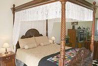 Pepper Tree Ridge B And B - Mackay Tourism 3