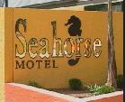 Seahorse Motel - Mackay Tourism 1