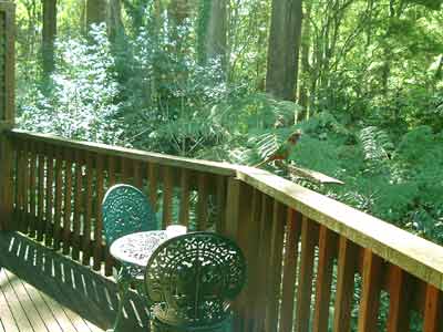 Belle Le Vie (Luxury B&B) - Mackay Tourism 4