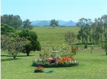 Tallowood Ridge Farmstay B - Mackay Tourism 3