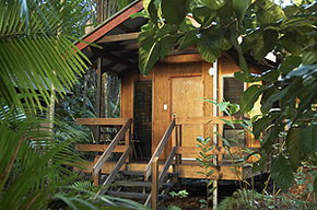 Cape Trib Beach House - Mackay Tourism 0