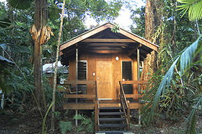 Cape Trib Beach House - Mackay Tourism 3