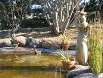 Murray Gardens Motel And Cottages - Mackay Tourism 2