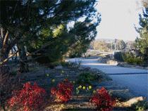 Murray Gardens Motel And Cottages - Mackay Tourism 3