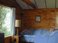 The Pines Resort - thumb 0