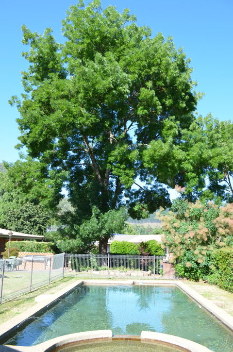 Bright Colonial Inn Motel - Mackay Tourism 4