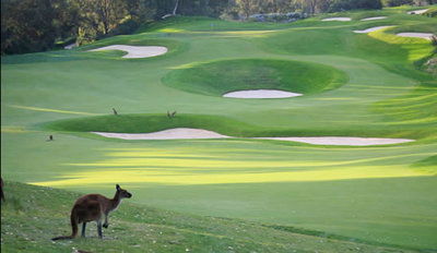 Joondalup Resort - Mackay Tourism 9