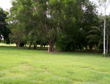 Daly River Mango Farm - Mackay Tourism 1