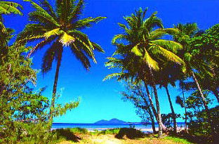 Mission Beach Rainforest Motel - Mackay Tourism 1