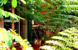 Mission Beach Rainforest Motel - Mackay Tourism 3
