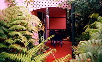 Mission Beach Rainforest Motel - Mackay Tourism 4