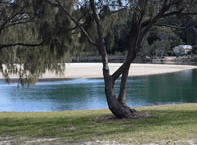 Ocean View Apartments - Mackay Tourism 3