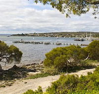Seagulls Wrest Point - Mackay Tourism