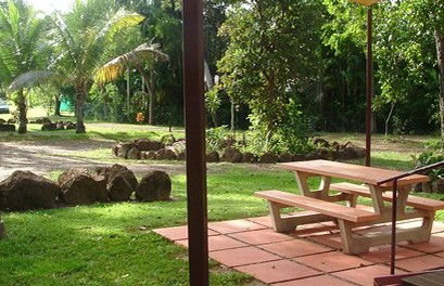 Virginia Heliconia Farm - Mackay Tourism 0