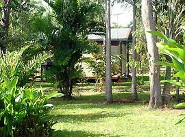 Virginia Heliconia Farm - Mackay Tourism 3