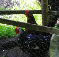 Norma's Place - Mackay Tourism