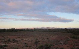 Wirrealpa Station - Mackay Tourism 3