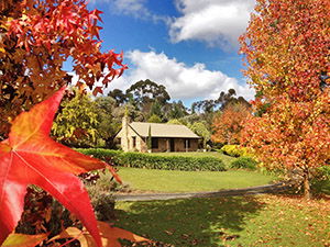 Adelaide Hills Country Cottages - Lavender Fields - Mackay Tourism 0