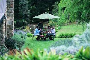 Adelaide Hills Country Cottages - Lavender Fields - Mackay Tourism 2