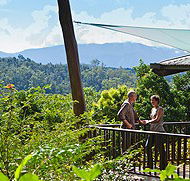 Rose Gums Wilderness Retreat - Mackay Tourism
