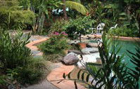 Galvins Edge Hill Bed And Breakfast - Mackay Tourism 5