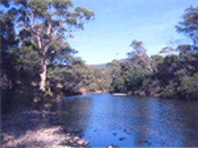 Douglas River Cabin - Mackay Tourism 0