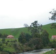 Tin Dragon Trail Cottages - Mackay Tourism