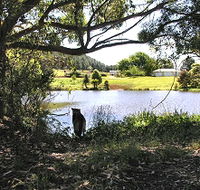 Newry Park Cottage - Mackay Tourism