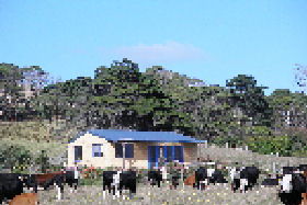 Marrawah TAS Mackay Tourism