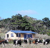 Marrawah Beach House - Mackay Tourism