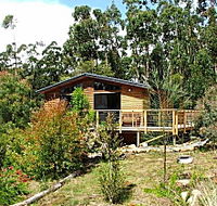 Southern Forest Accommodation - Mackay Tourism