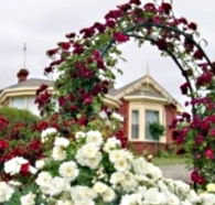 Golden Embers Apartments and B and B - Mackay Tourism