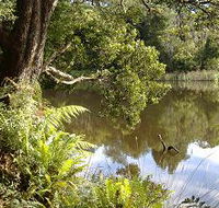 Weldborough Camping Ground - Mackay Tourism