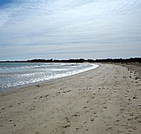 Greens Beach Caravan Park - Mackay Tourism