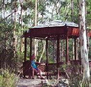 Telopea - Mackay Tourism
