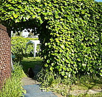 Kirra Guest House - Mackay Tourism