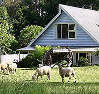 Hide-Away Cottage Retreat - Mackay Tourism