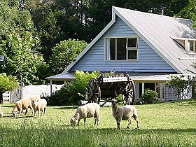 Hide-Away Cottage Retreat - Mackay Tourism 0