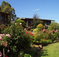 Mole Creek Holiday Village - Mackay Tourism