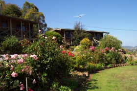 Mole Creek Holiday Village - Mackay Tourism 0