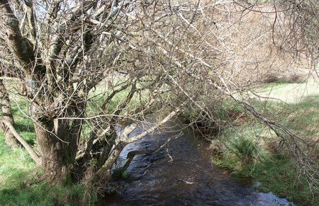 Penguin Valley Farm - Mackay Tourism 1