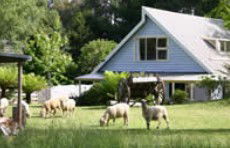 Hide-Away Cottage Retreat - Mackay Tourism 2