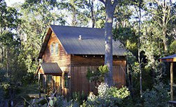 Cradle Mountain Highlanders - Mackay Tourism 1